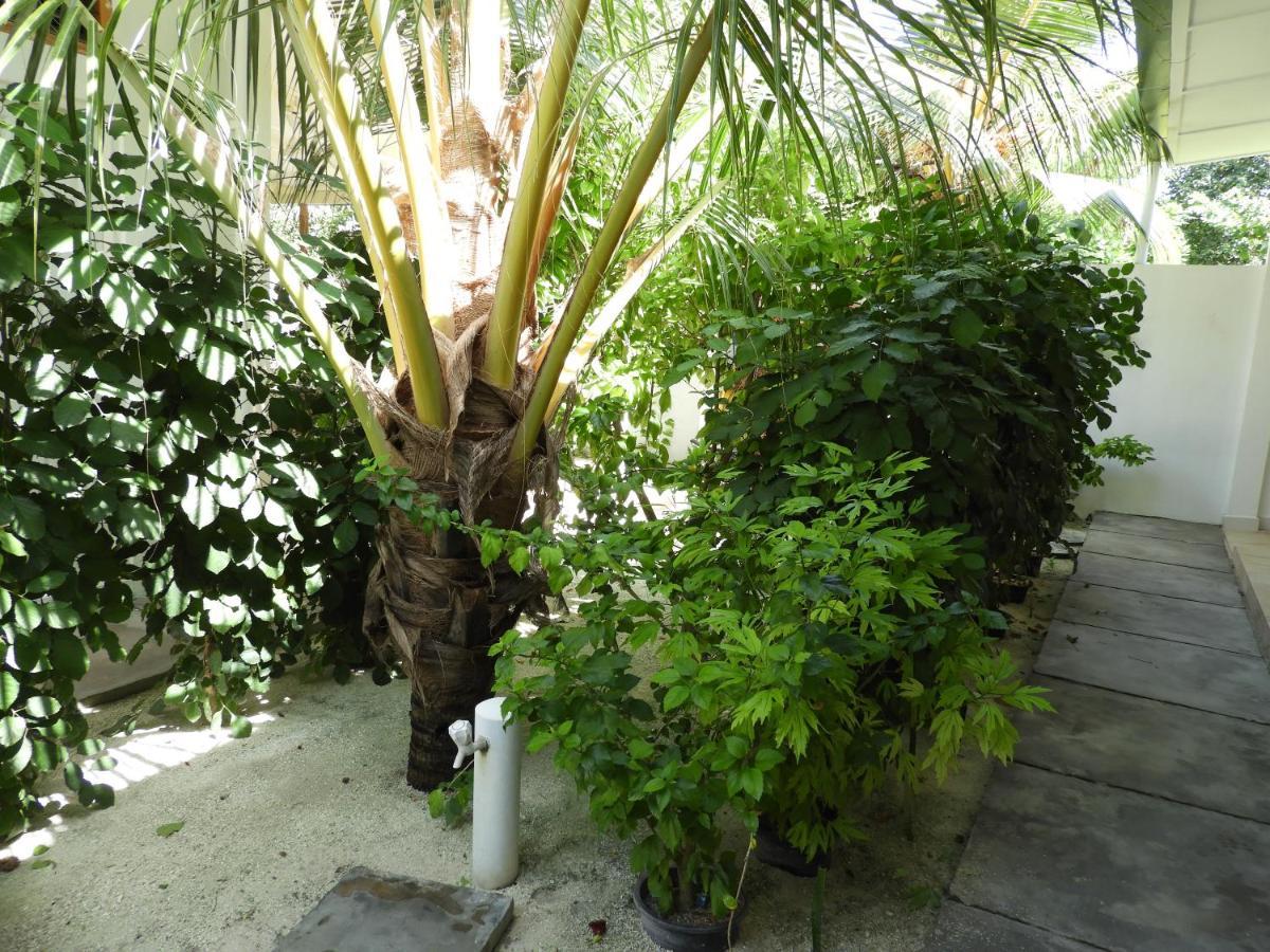 Karaa Village Thoddoo Exterior photo