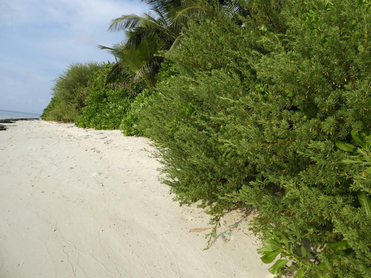 Karaa Village Thoddoo Exterior photo