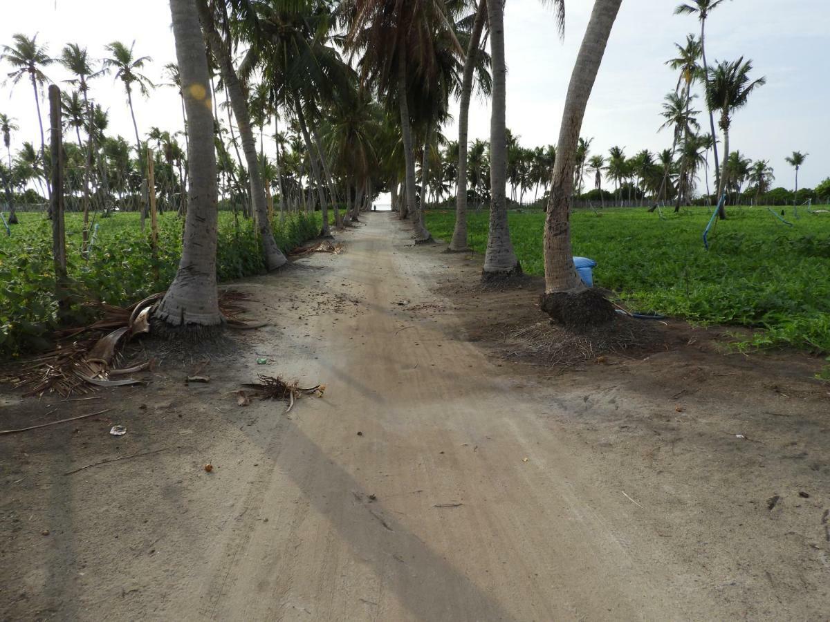 Karaa Village Thoddoo Exterior photo